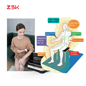 Máquina Terapéutica de Alto Potencial de 14000V para el Estreñimiento Crónico y el Tránsito Intestinal - Product Image 3