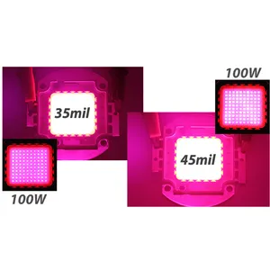 LED COB Chip 10W 20W 30W 50W 100W Khung đồng vuông công suất cao phổ đầy đủ (380nm - 840nm) đèn cho LED phát triển ánh sáng