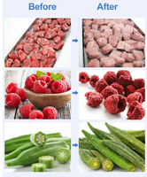 Ce Instant Koffie Vriesdroogmachine Apparatuur Fruit En Groenten Droger Industriële Vriesdroogmachine Voor Voedsel