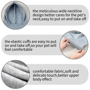 Sweat à capuche pour <span class=keywords><strong>chien</strong></span> <span class=keywords><strong>en</strong></span> polyester confortable de qualité supérieure, col large, poignets élastiques, plusieurs couleurs et tailles, vêtements chauds pour animaux de compagnie pour l'automne et l'hiver, doré - Product Image 2