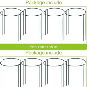 Piquets de Support de plantes de jardin en métal Semi-circulaire, Support pour fleurs, 10 pièces - Product Image 4