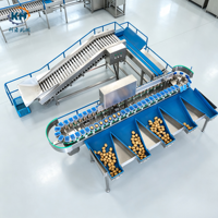 Commerciële doosvormige aardappelgewichtseparator voor landbouwverwerkingslijn met toevoerelevator, video-inspectie beschikbaar