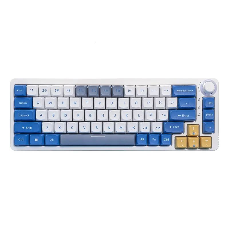 2.4G Wireless Wired BT Mechanical Keyboard 68 keys Hot Swap RGB Mni Keyboard for iPad