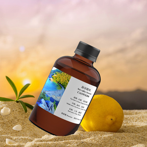 Crearoma Sea Valley Breeze 500ml Fragranza Senz'Acqua per Diffusore Olio Essenziale Lunga Durata Aroma Naturale - Product Image 3