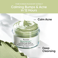 Masque d'argile exfoliant personnalisé contre l'acné, à l'acide salicylique, à la niacinamide et à la centella asiatica, masque nettoyant pour le visage, éliminateur de points noirs