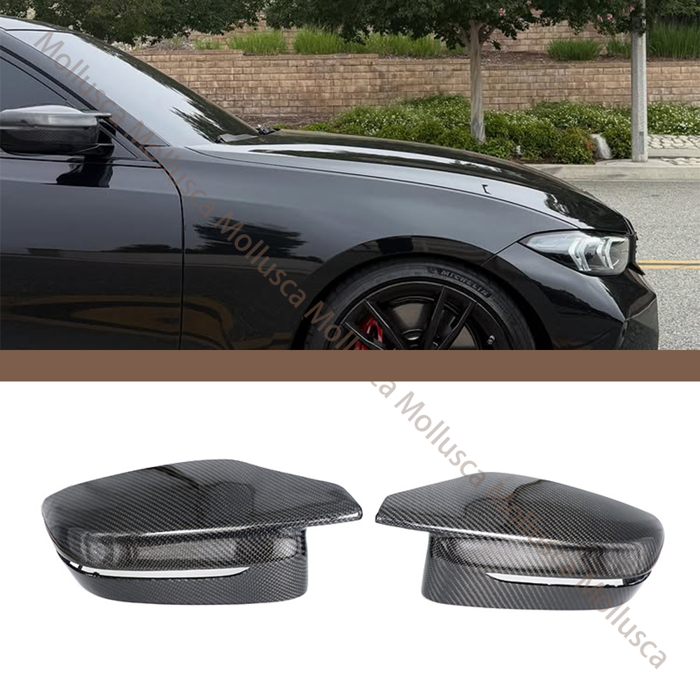 G20 Reversing mirror