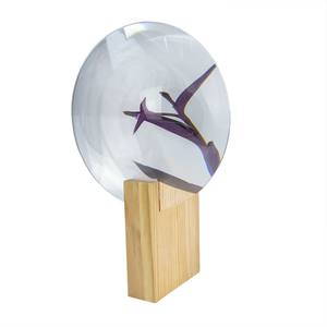 <span class=keywords><strong>Lentille</strong></span> <span class=keywords><strong>Fresnel</strong></span> solaire optique PMMA <span class=keywords><strong>de</strong></span> 200 mm, projecteur, loupe plane, <span class=keywords><strong>lentille</strong></span> <span class=keywords><strong>de</strong></span> condensation solaire personnalisable OEM - Product Image 5