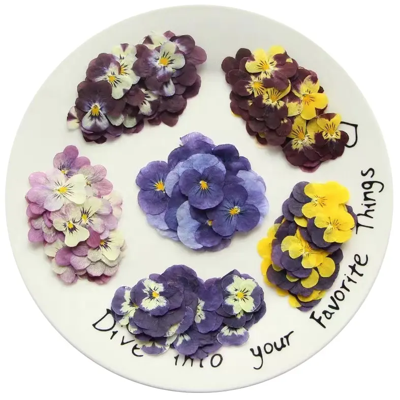 12 pièces/sac Viola Pansy Violet signets faits à la main sceau de cire résine époxy artisanat plante naturelle pressée fleurs séchées