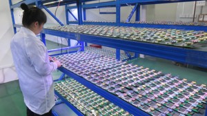 Tùy chỉnh phân khúc <span class=keywords><strong>LCD</strong></span> cho thiết bị công nghiệp thiết bị gia dụng thiết bị y tế ô tô bảng điều khiển công cụ thông minh Meter - Product Image 6