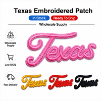 En stock : Patch Game Day Texas, badge brodé textuel à paillettes mélangées, étiquette à bordure scintillante pour vestes en jean personnalisées, en gros