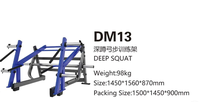 Máquina de Sentadillas Profundas HUANYU DM13 de Acero para Gimnasio Comercial - Diseño Duradero para Ejercicios de Piernas con Capacidad de 100 kg