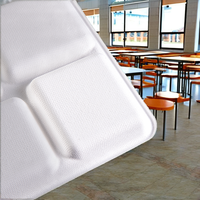 Plateau de bagasse de canne à sucre jetable à 5 compartiments Vaisselle écologique pour les fêtes scolaires, les restaurants et les mariages