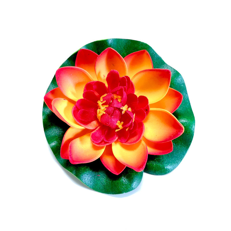 10cm #1