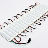 Module LED WS2811 Pixel 5050RGBIC 12V avec LED DC 12V 24V 1.5W 86*19MM 3LED IP65 RGB pour enseignes et panneaux LED