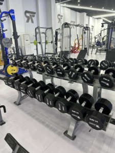 2025 nuevo estilo martillo gimnasio Fitness levantamiento de pesas entrenamiento de fuerza Q235 tubo de acero galvanizado estante con mancuernas de dos niveles a la venta - Product Image 5