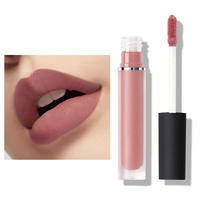 52 couleurs Oem personnalisé votre logo liquide mat rouge à lèvres imperméable longue durée végétalien marque privée mat liquide rouge à lèvres