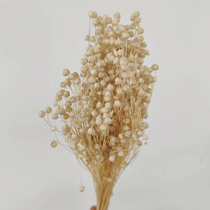 Ramo <span class=keywords><strong>de</strong></span> Flores Secas Reales y Coloridas <span class=keywords><strong>de</strong></span> 50g, Paquetes <span class=keywords><strong>de</strong></span> Artesanía para el Día <span class=keywords><strong>de</strong></span> San Valentín - Product Image 2