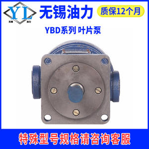 Pompe à palettes hydraulique série YBD haute pression, tête de pompe à huile hydraulique en tailles 6.3/10/16/20/25/32/40/63/80/100 pour applications hydrauliques - Product Image 3