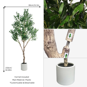 <span class=keywords><strong>Olivier</strong></span> artificiel OEM de 2,10 m avec tronc en bois texturé unique et pot, idéal pour la décoration de véranda et de cour. - Product Image 3