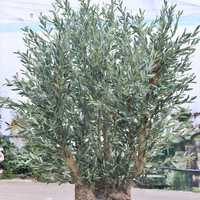Arbre d'olivier artificiel ignifuge sur mesure, grand faux olivier pour salle à manger ou restaurant, décoration intérieure de Pâques