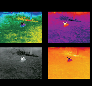 Détecteur d'iray Vision nocturne longue portée télescope monoculaire infrarouge imagerie thermique Mil Style caméra portée pour la chasse 50 Hz CMOS - Product Image 4