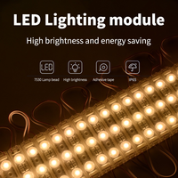 Super Bright 6011 SMD2835 Mini Module LED 12V LED Enseigne Illuminée pour Décoration Prix Pas Cher
