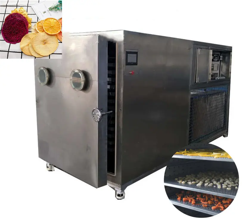 Organic freeze dried fruit durian fruit powder shrimp freezer dryer machine for sale