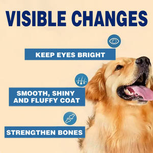 Рекомендованный ветеринар, 28% белок, сухой корм для собак, корм для рабочей собаки, пакет 20 кг, произведенный компанией по производству сушеных кормов для собак - Product Image 3