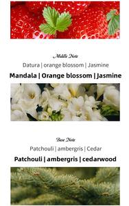 Xiaocheng Yixiang ใหม่ HARVEY's Water น้ำหอมขนาดปกติของผู้ชายแบบสเปรย์ข้ามพรมแดนการค้าต่างประเทศขายดีติดทนนาน - Product Image 4