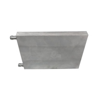 Bloc de refroidissement liquide en aluminium argenté Loosyin 120x160x15mm pour boîtier d'ordinateur avec garantie de 12 mois, OEM/ODM acceptés