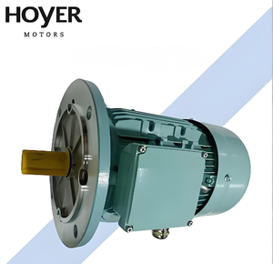 Motores Hoyer IE3 de 220/380/415/440/660 V, 45 kW, 75 kW, 90 kW, 1000 RPM, Motor de Inducción Trifásico, IP55 TEFC, 50/60 Hz - Product Image 5