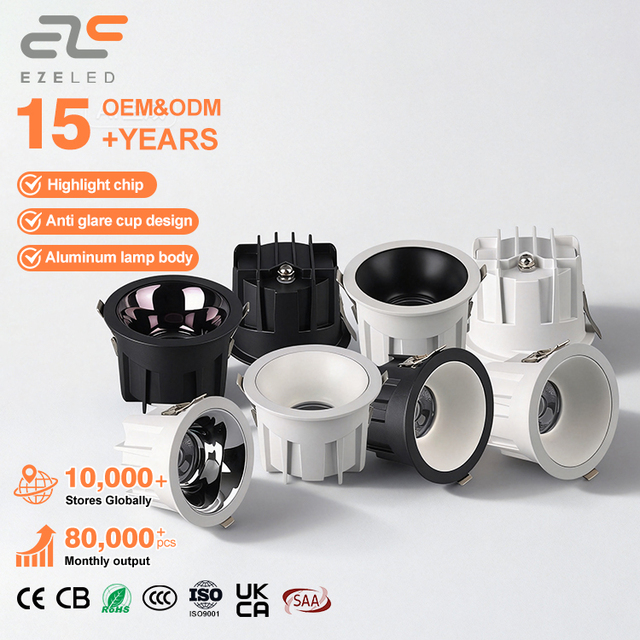 Brand High Brightness for Indoor 12W/18W/24W/36W/55W Output Power Changeable LED Recessed IP20 Waterproof Down Light