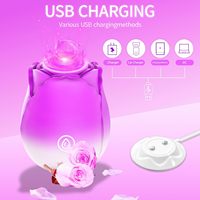 Masturbateur à succion clitoridienne 10 vitesses pour adulte, effet vibrant, rechargeable, étanche, en silicone rose, pour stimulation mammaire