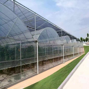 Serre agricole multi-span bon marché pour la culture hydroponique choux tomates - Product Image 4