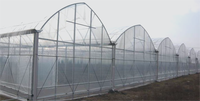 Serre agricole à travées multiples Conteneur de culture hydroponique complet Nft Système de culture vertical Serre à film