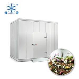 Building a cold room refrigerator freezer for flowers