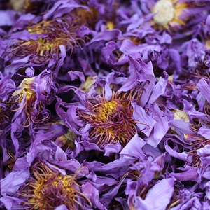 Fiori <span class=keywords><strong>di</strong></span> Nymphaea Caerulea Commestibili Biologici Lan Lian Hua, Fiori <span class=keywords><strong>di</strong></span> <span class=keywords><strong>Loto</strong></span> <span class=keywords><strong>Blu</strong></span> Essiccati per Tè - Product Image 1