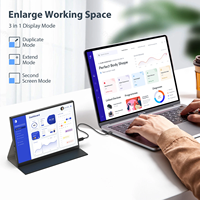 Écran LCD portable pour PC de 10,5 pouces, 1280p, 60 Hz, écran IPS avec interface Type-C, vente en gros d'écrans portables