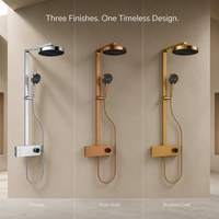 Système de douche massant moderne OEM/ODM trois fonctions chaud/froid en laiton finition brossée avec valve en céramique pour les développeurs de salles de bain
