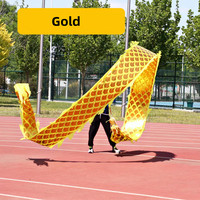 Vente en gros de fitness coloré 6m 8m Enfants adultes Performance de danse du dragon Streamer Dragon Activités de groupe Jouets de sport d'extérieur