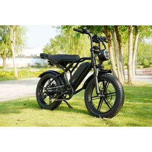 Bicicleta Eléctrica Vintage V8 Fatbike para Adultos R002 con Neumáticos Anchos, 48v 250w, Plegable para Ciudad, R002 con Neumáticos Anchos 48v 2 - Product Image 6