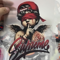 Película de Impresión por Transferencia DTF Personalizada al por Mayor, Adhesivo Termoadhesivo para Planchar, Impresiones de Transferencia de Calor DTF con Logotipo Personalizado para Ropa