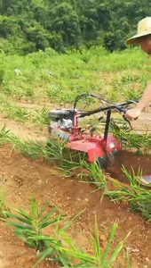 Kualitas tinggi 4WD Cultivator Gear transmisi Orchard traktor kecil Tiller - Product Image 5