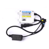 Slim 35W 55W 12V 24V Hylux 2A88 2A50 A2088 A0050  Annulateur d'erreurs pour ballast Canbus Décharge à haute intensité