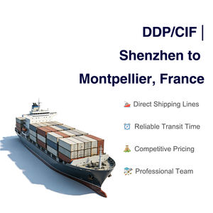 Transitaire maritime professionnel : Chine vers <span class=keywords><strong>Montpellier</strong></span>, France Expédition LCL Conditions DDP/CIF pour marchandises dangereuses et générales - Product Image 1
