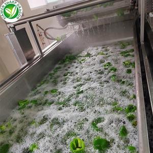 आपूर्तिकर्ता जैविक ग्रीनहाउस फल रंगीन इंद्रधनुष फ्रोजन मिर्च का निर्यात करता है हरी मिर्च, पीला हरा और लाल रंग - Product Image 4