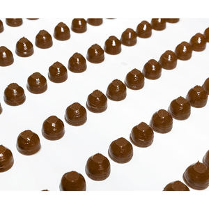 Shanghai nouvelle machine de fabrication de chocolat multivitamines moules de remplissage de lait fondre dans la bouche noix ingrédients de fruits pour bonbons PLC - Product Image 1