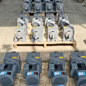 Réducteur hélicoïdal à montage sur pied série R avec rapport 20:1 et arbre creux pour machines industrielles (ODM disponible) - Product Image 6