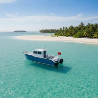 Bateau de pêche sportif double en aluminium de 9,93 m homologué CE, 12 places, bateau à moteur à deux hors-bord pour la navigation en haute mer