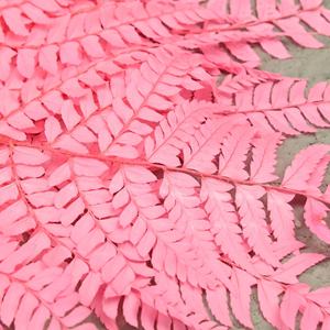 Flores Eternas Secas, Hojas de Helecho Doradas y Plateadas de 50 cm, Decoración de Bodas, Decoración de Salones, <span class=keywords><strong>Arreglos</strong></span> Florales Secos - Product Image 3